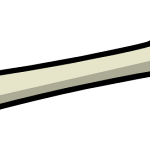 Bone PNG