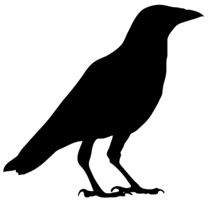 Raven PNG