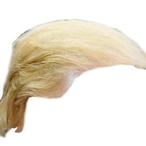 Hair wig PNG