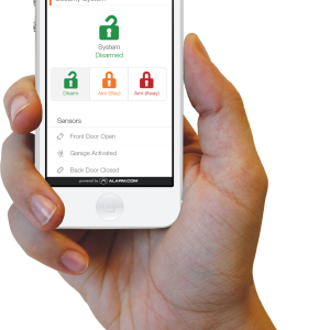 Phone in hand PNG