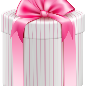 Gift box PNG