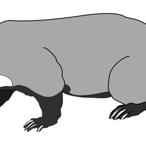 Badger PNG