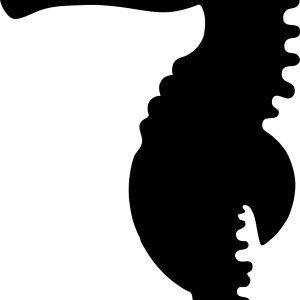Seahorse PNG