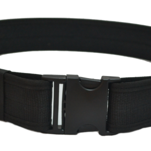 Dog collar PNG