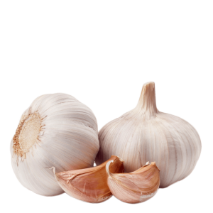 Garlic PNG