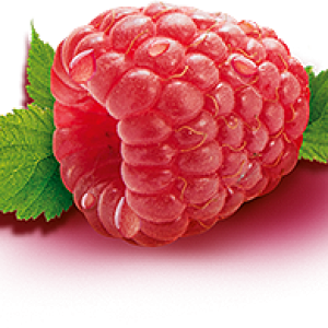 Rraspberry PNG image