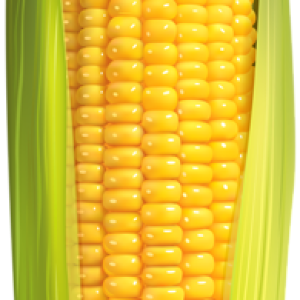 Corn PNG