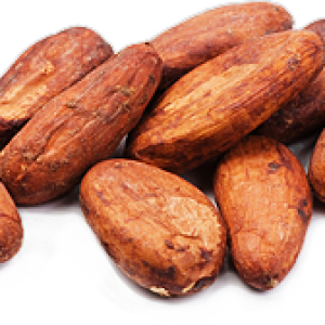 Cacao PNG