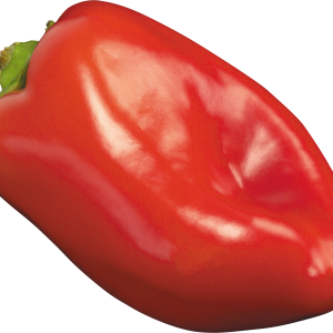 Bell pepper PNG