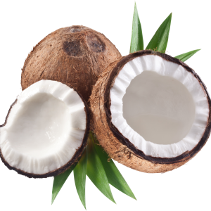 Coconuts PNG