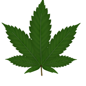 Cannabis PNG