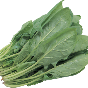 Salad PNG image