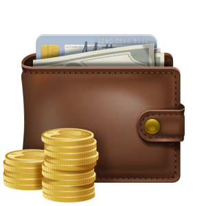 Wallet with money PNG image