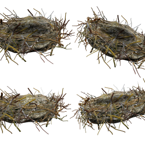 Nest PNG