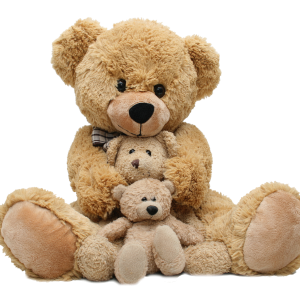 Teddy bear PNG