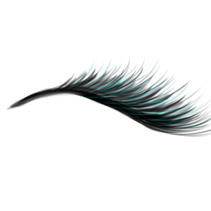 Eyelash PNG