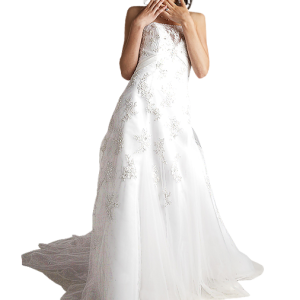 Bride PNG
