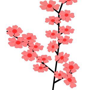 Sakura PNG