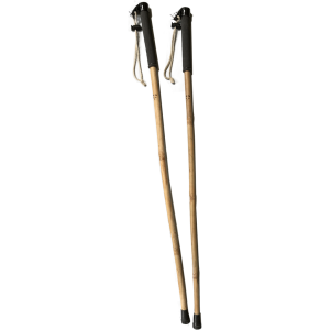 Trekking pole PNG