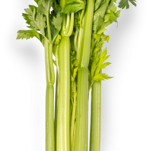 Celery PNG