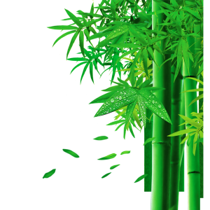 Bamboo PNG