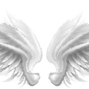 Wings PNG