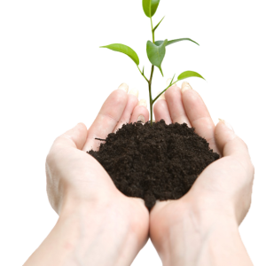 Soil in hands PNG