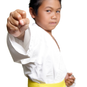 Karate PNG