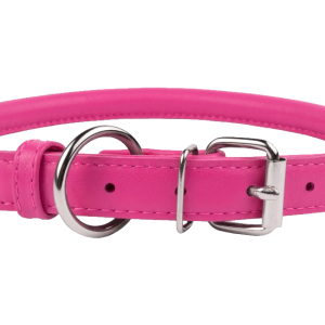 Dog collar PNG