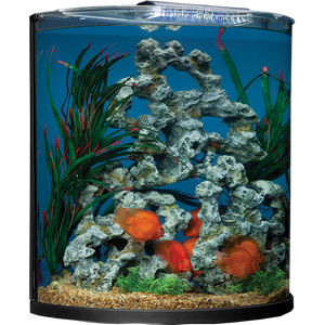 Aquarium PNG