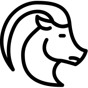 Aries PNG