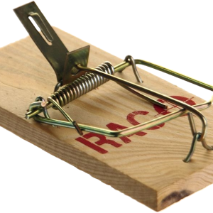 Mouse trap PNG