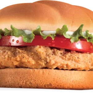 hamburger, burger PNG image