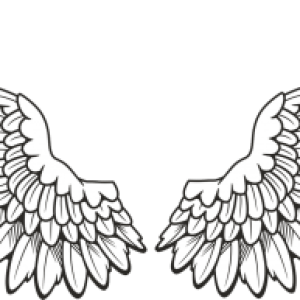 Wings PNG