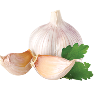 Garlic PNG