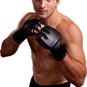 Mixed martial arts PNG, MMA PNG