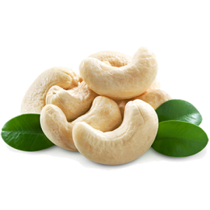 Cashew nut PNG