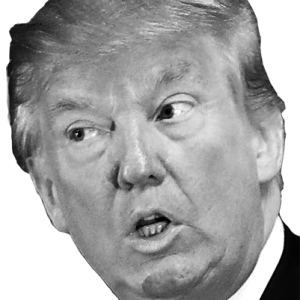 Donald Trump PNG