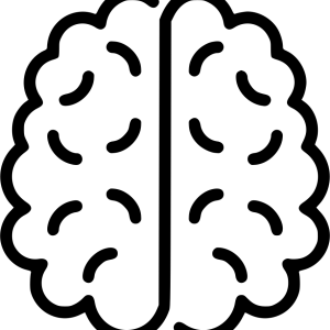 Brain PNG