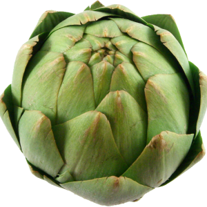 Artichoke PNG