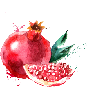 Pomegranate PNG