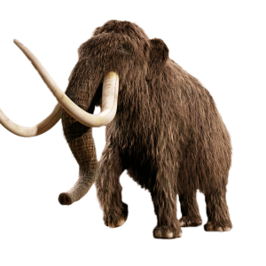 Mammoth PNG