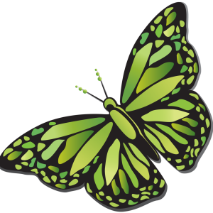 big green butterfly PNG