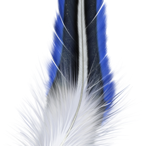 Feather PNG