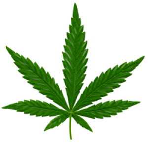 Cannabis PNG