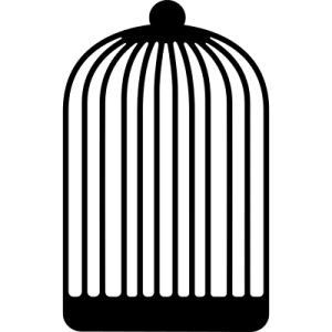 Cage bird PNG