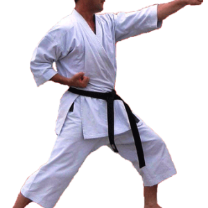 Karate PNG