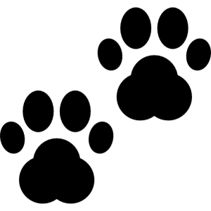 Paw PNG