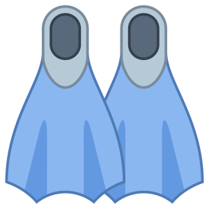Flippers PNG
