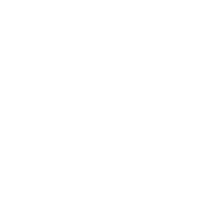 Feather PNG